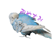 pipichan_20240716220052