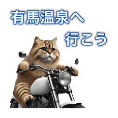 "A cat riding a motorcycle"