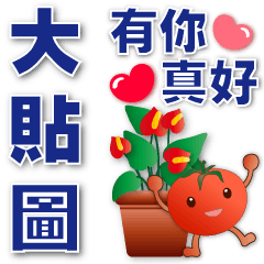 tomatoes- practical phrases-big stickers