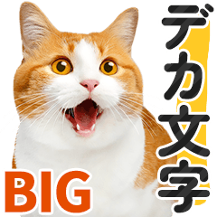 【デカ文字BIG】茶白と茶トラ猫❤基本の会話