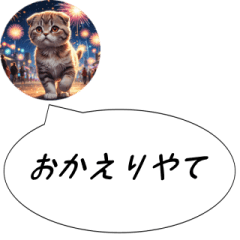 Nagoya, Scottish Fold, summer