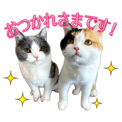 Anzu&Sora&Yuzu's Sticker