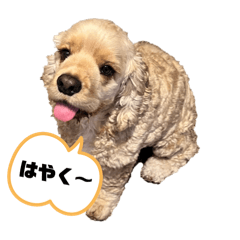 yuri1413_20240717124858