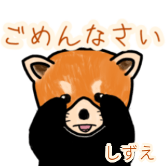 Shizue's lesser panda