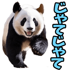 Panda speaking Okayama diale | Yabe-LINE貼圖代購 | 台灣No.1,最便宜高效率的代購網