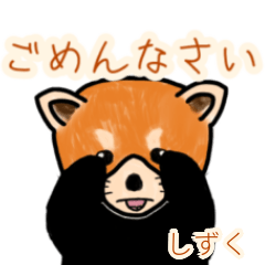 Shizuku's lesser panda