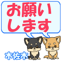 Kisaki's letters Chihuahua2