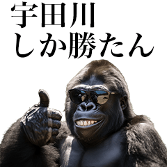 [Udagawa] Funny Gorilla stamps to send