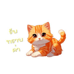 Cute Orange Kitten