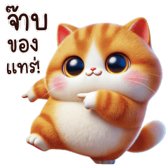 Orange cat gang Funny chat V.3 (BIG)
