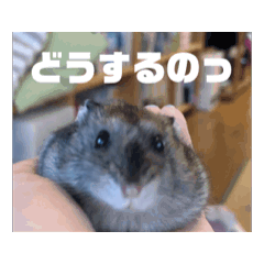 Michael_20240717184303