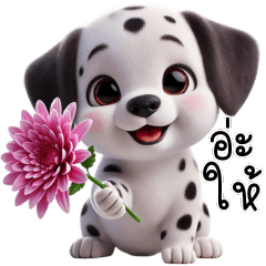 cute dalmatian puppy