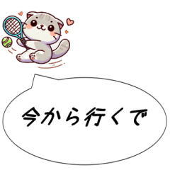 Nagoya dialect Scottish Fold tennis