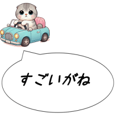 Nagoya dialect Scottish Fold driving