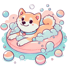 Kansai-ben (Osaka) Shiba Inu Swimming