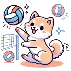 Kansai-ben (Osaka) Shiba Inu Volleyball