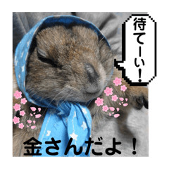 Jackie_20240717183658