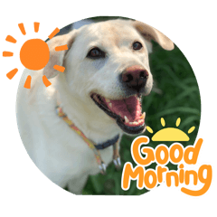 soraso_20240717222232