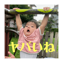 shimaro_20240718110548