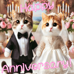 Happy Anniversary Cat