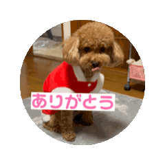 obisan_20240718214710