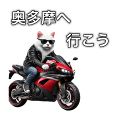 "Cat riding a motorcycle".