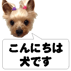 UCHINO_INU_Sticker