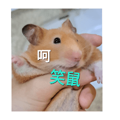 Puff )第二彈
