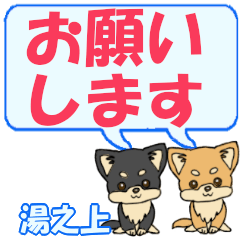 Yunoue's letters Chihuahua2