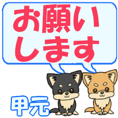 Koumoto's letters Chihuahua2 (2)