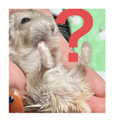 IZUMIDA_20240718151914