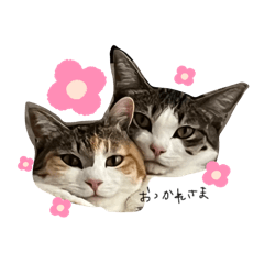 ripkun_20240718233424