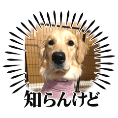 hibiwotumugu_20240718154130