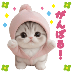 scottish fold cute lovely sticker