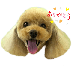 otta_20240718235548