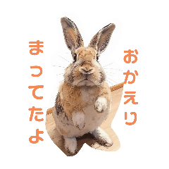 "Everyday Rabbit Stamps" Chiru and You