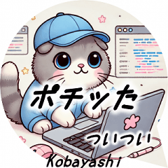 Useful cat phrases for kobayashi Vol.1