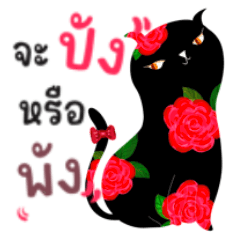 Pretty cheeky black cat with roses.