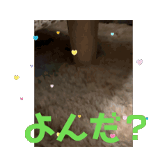 nora_20240719223721