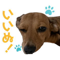 Kokoko_20240719230528