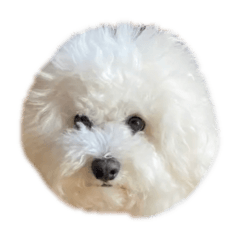 MIEOBA_20240720074717