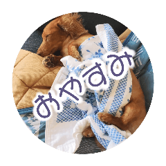 reeeo_20240719222534