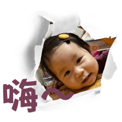 兔寶寶日常用語2