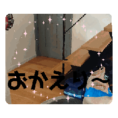 HARUTA_20240720195110