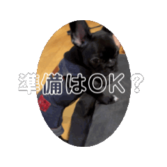 morima_20240720215756