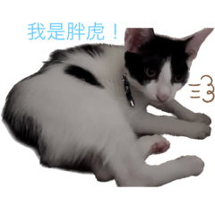 虎哥～♡