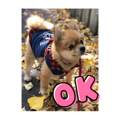 Monsieur_20240720141501