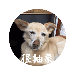 摳摳很那個誒