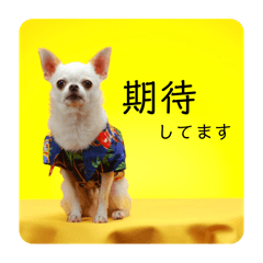MiTe_20240720152418