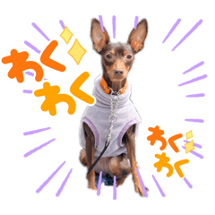 kokoko_20240720185627